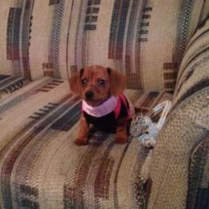 Meet your Posher, Robert